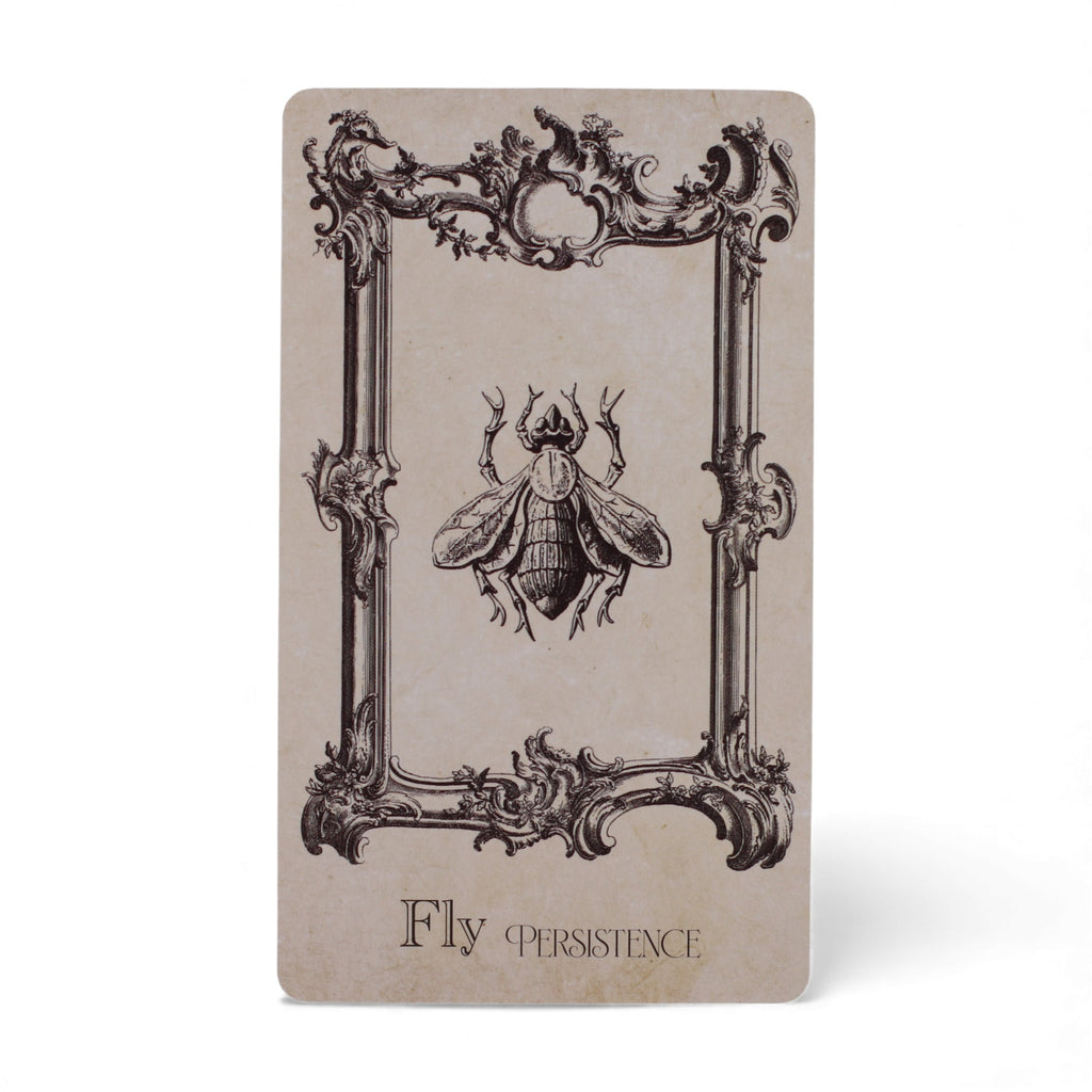 🕯 Cartes Oracle – Grimoire