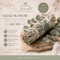 🌿✨ Sauge Blanche & Eucalyptus – 100 mm ✨🌿