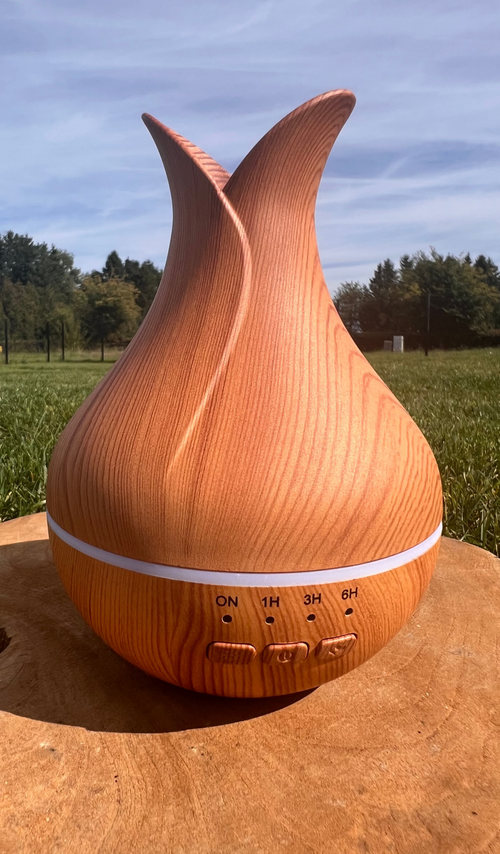 Diffuseur Palerme ✨