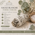 🌿✨ Sauge Blanche – Forme Torche ✨🌿