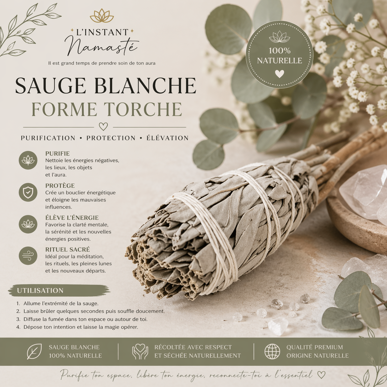 🌿✨ Sauge Blanche – Forme Torche ✨🌿
