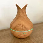 Diffuseur Palerme ✨